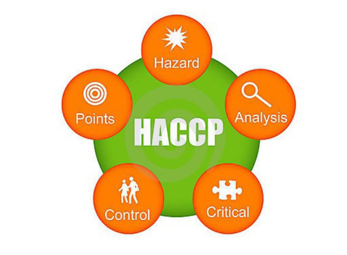 Wat Is HACCP 